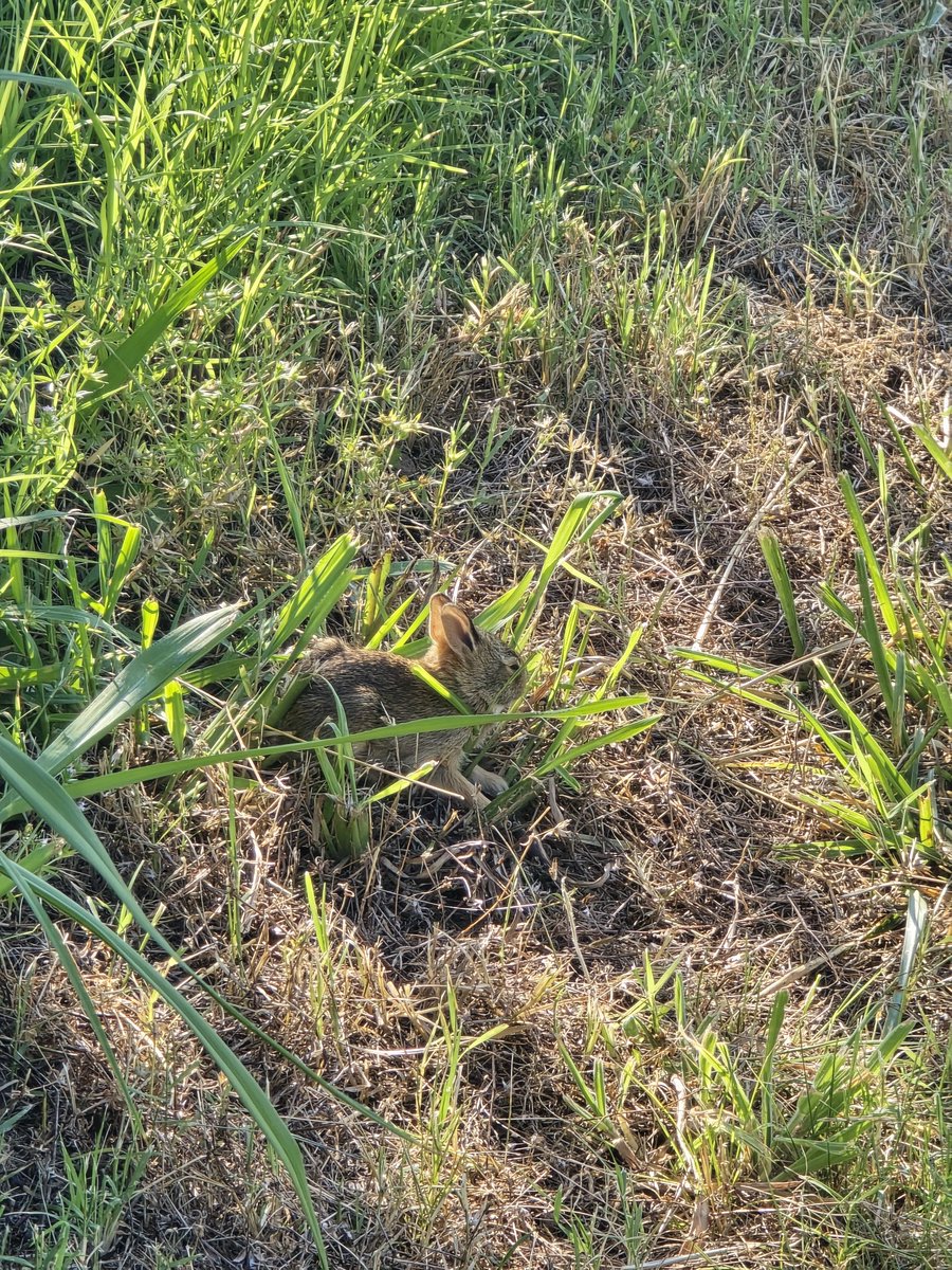 GYPRGAMING1's tweet photo. @UseCodePOP it must be that season. Weed Eating find https://t.co/Ut6gvq5ASF