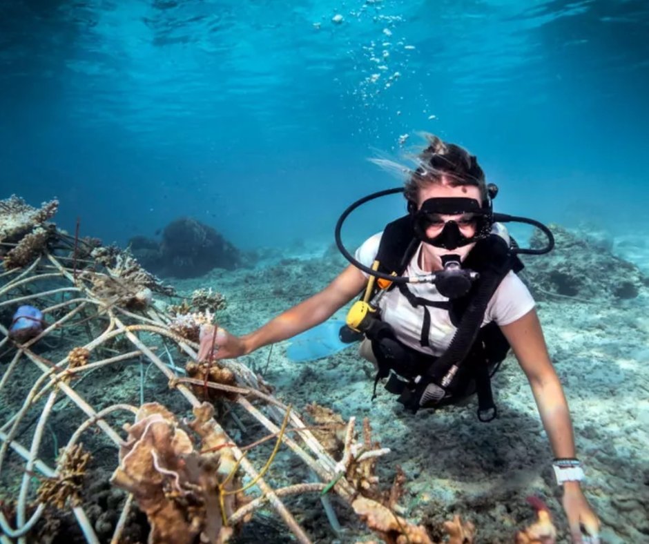 WiseOceans's tweet photo. 🆕 Paid Job Posted!

@ORRAAnews  are currently recruiting for a Senior Associate, Communications

Location: UK
Type: Paid
Details: https://t.co/MPL4VvTPl8
#wiseoceans #careers #wiseoceanscareers #weeklywednesday #job #alert #hiring #recruitingnow #wednesday https://t.co/tce31DzVxY