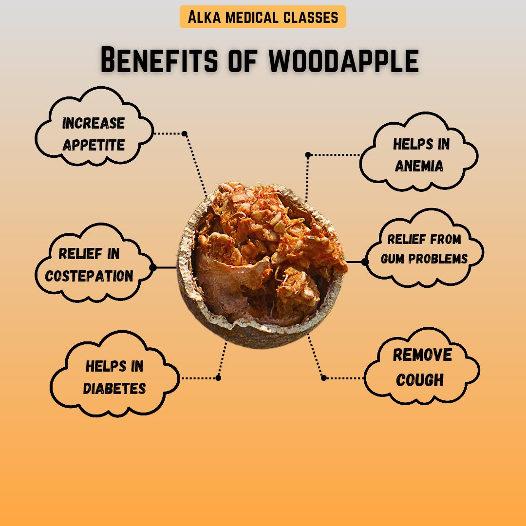 alkathakur2112's tweet photo. Woodapple benefits:-
1. (Increase Appetite)
2. (Helps in Anemia)
3. (Relief from Gum Problems)
4. (Remove Cough)
5. (Helps in Diabetes)
6. (Relief in Constipation)
#alkathakur #alkamedicalclasses #X #woodapple https://t.co/FpX1Pg6Jc6