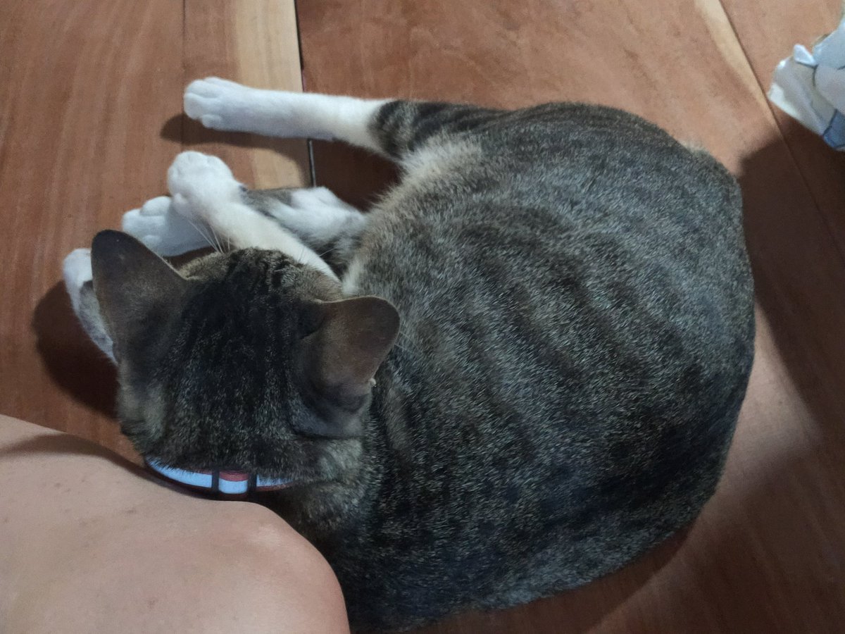 กว่าเธอจะตื่น เราก็มีคนอื่นไปแล้ว🍃#แคปชั่น #แคปชั่นเด็ด #แคปชั่นโดนๆ #แคปชั่นเสี่ยว #แคปชั่นเศร้า #แคปชั่นอกหัก #แคปชั่นโสด #แคปชั่นเด็ดๆ #แคปชั่นเหงา #ถูกทิ้ง #แคปชั่นอ่อย #แคปชั่นแอบรัก #คำคม #แคปชั่นกำลังใจ #แคปชั่นเจ็บๆ #คำคมเหงาๆ #คำคมไม่รัก #เจ็บจี๊ด #loveasdevil