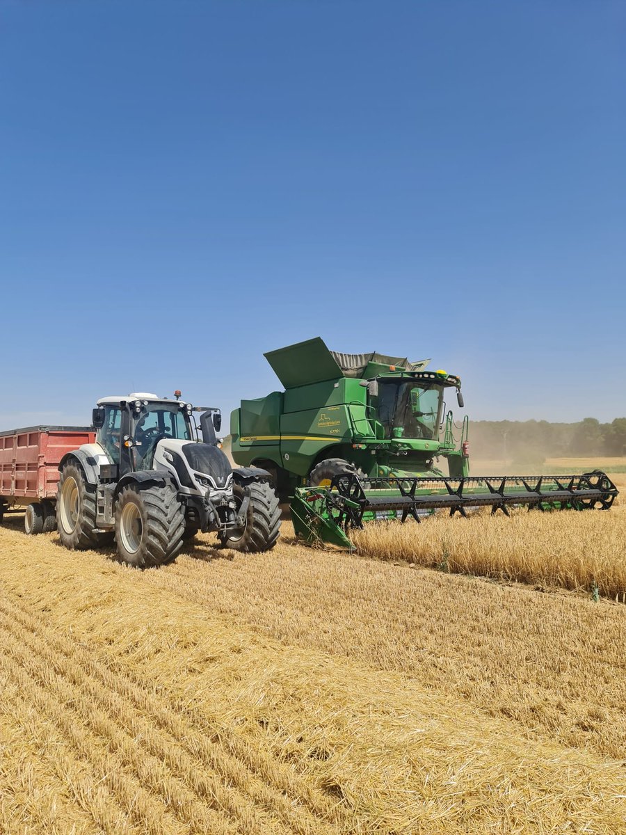 BASF_AgroES's tweet photo. 🌾 #Trigos, #cebadas, #avenas... y un sinfín de variedades han dado forma a nuestros campos.
Campos de #cereal y paisaje. Mucho más que un amor de primavera-verano 💚 Como dice @DeVinoyRosas en este #CAMPOSCOPIO, ¡es hora de salir al campo y disfrutar! 👉 https://t.co/srY0qVTf0M https://t.co/VBUSaIQPSQ