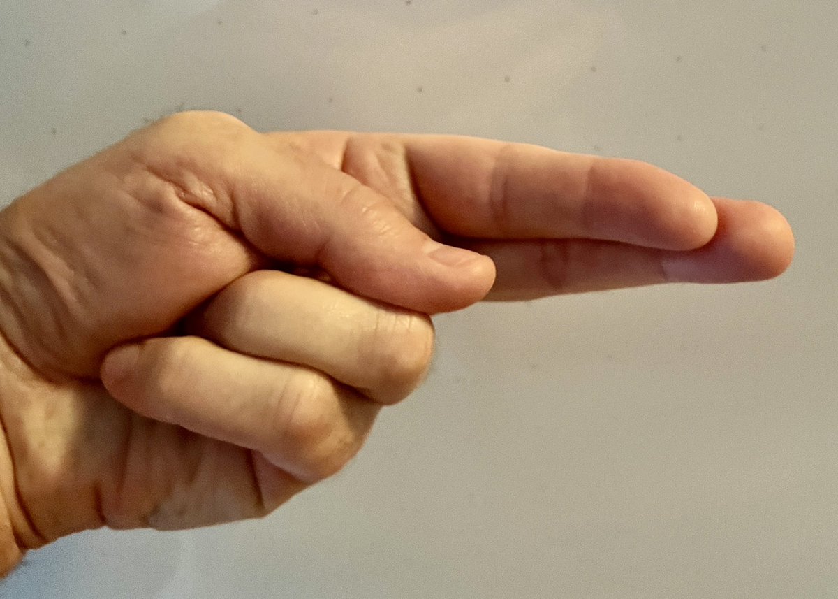 Chris Gore tweet media