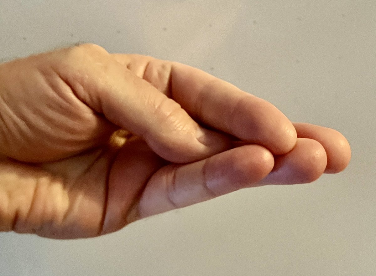 Chris Gore tweet media