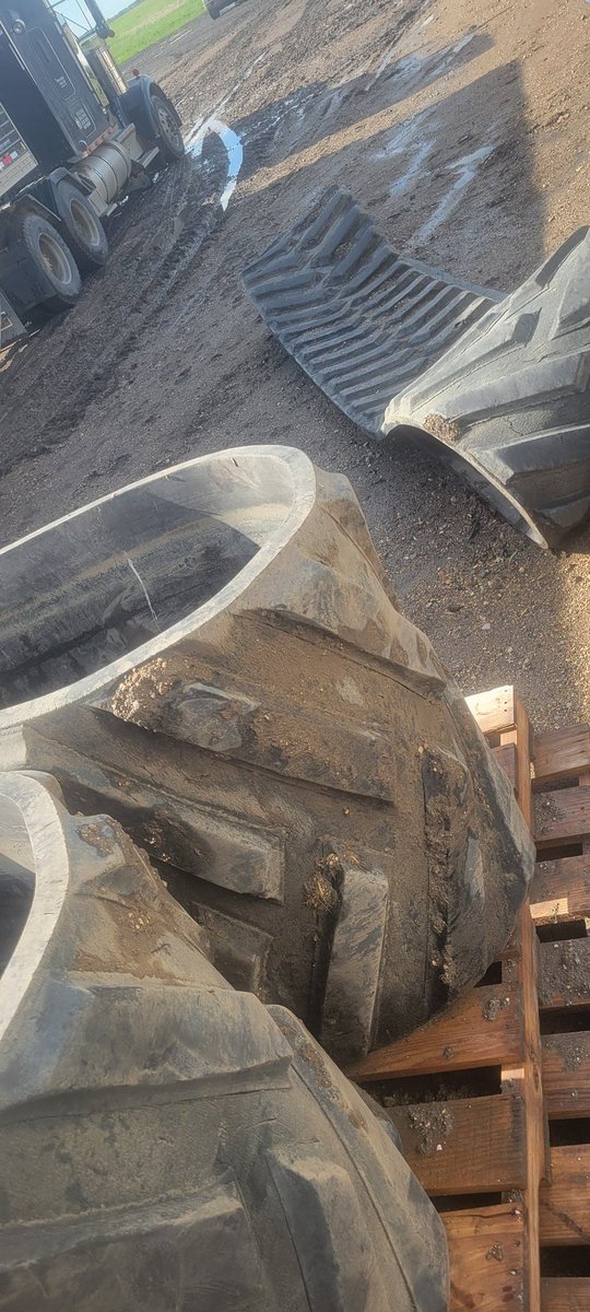 Andrew Dalgarno tweet media