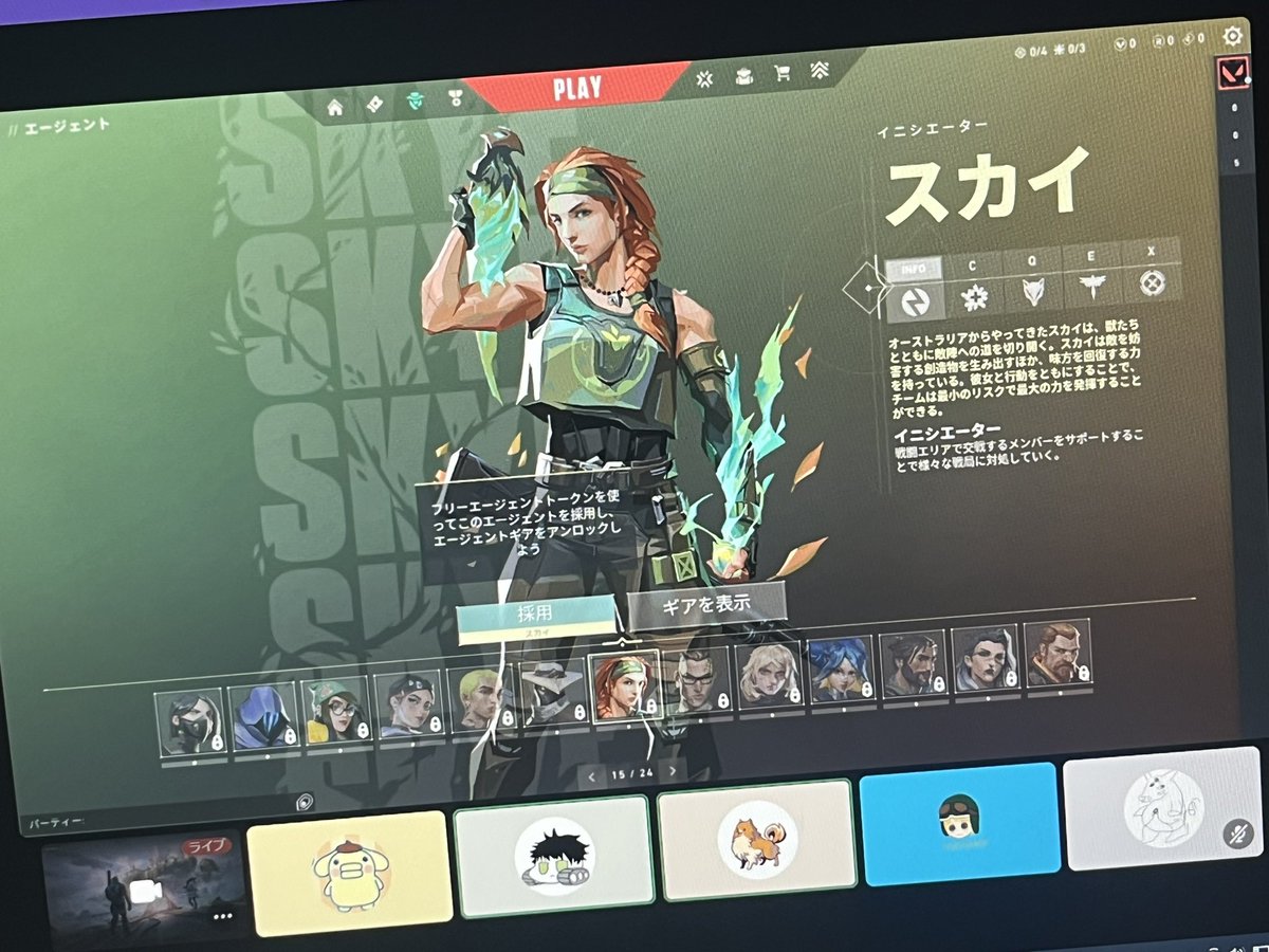 _Sunege5's tweet photo. クマヴァロ https://t.co/XnduNmC2K6