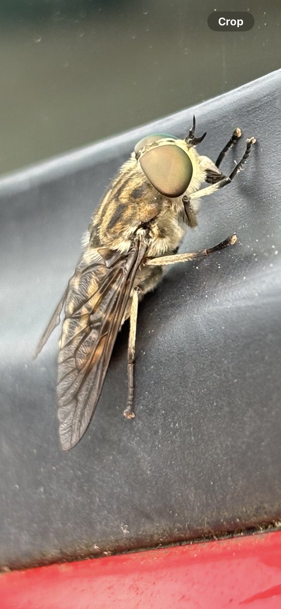 The Catford Studios tweet media