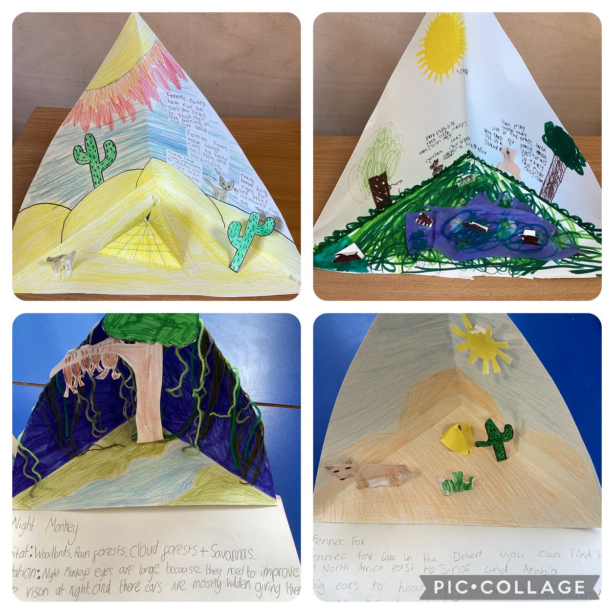 We created trioramas to show how different organisms have adapted to their habitats #adaptation #habitats #research