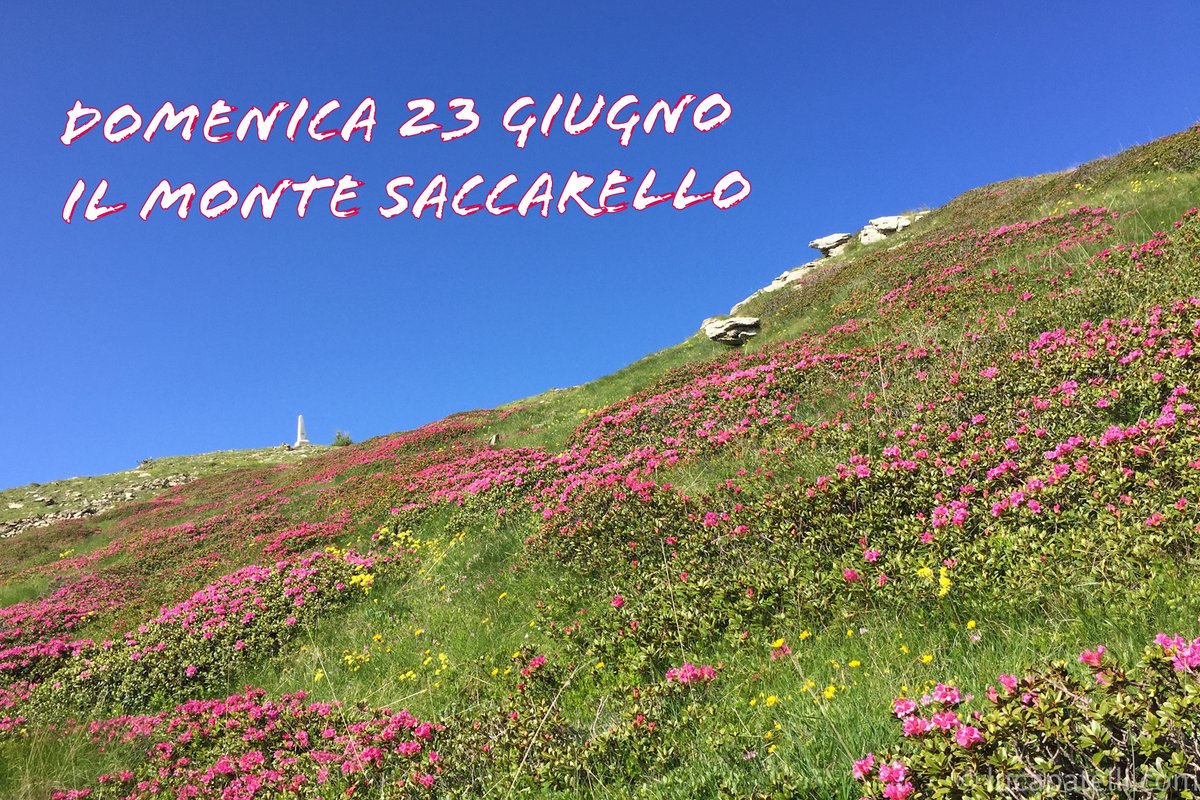 PonentEx's tweet photo. Domenica 23 giugno le magnifiche fioriture del Monte Saccarello faranno da cornice alla nostra escursione...imperdibile!

ℹScheda escursione: https://t.co/GVnwfs8DHq

#beactiveliguria #trekking #orgoglioliguria #ponenteexperience #lamialiguria #imperia #liguria #alpiliguri https://t.co/yAgYTxtZyl