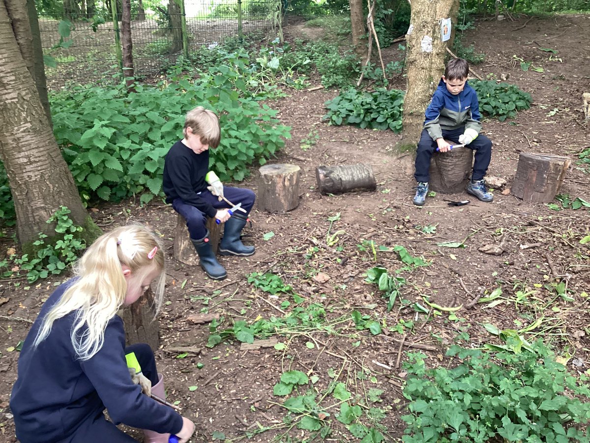 OWPS_forestschool tweet media