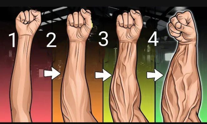 NOgymNOlimits's tweet photo. ¿Odias tus antebrazos "canijos"?

Unos antebrazos FUERTES, siempre hacen lucir bien, hasta con una simple camiseta.

Haz esto para mejorarlos 👇 https://t.co/W4ncUsyl08