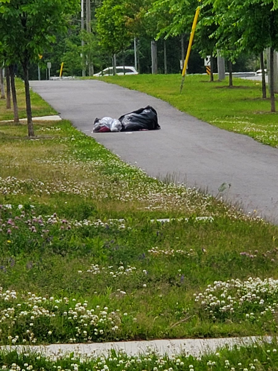 MurdockBig's tweet photo. I really hope someone @TownofWhitby has picked this bag up. I've only seen their pickup trucks drive by this bag a dozen times, just to ignore it. Des Newman Blvd. #whitby #garbage #getitdone https://t.co/1trRUQGl9r
