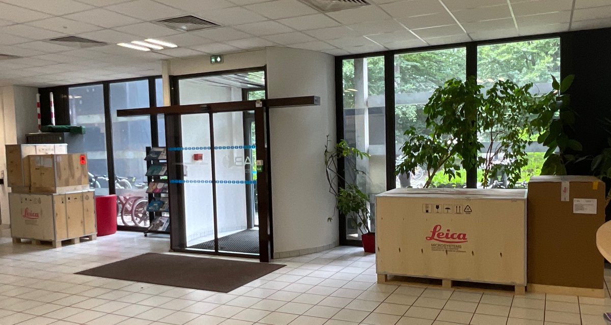 Anne-Laure Bulin tweet media