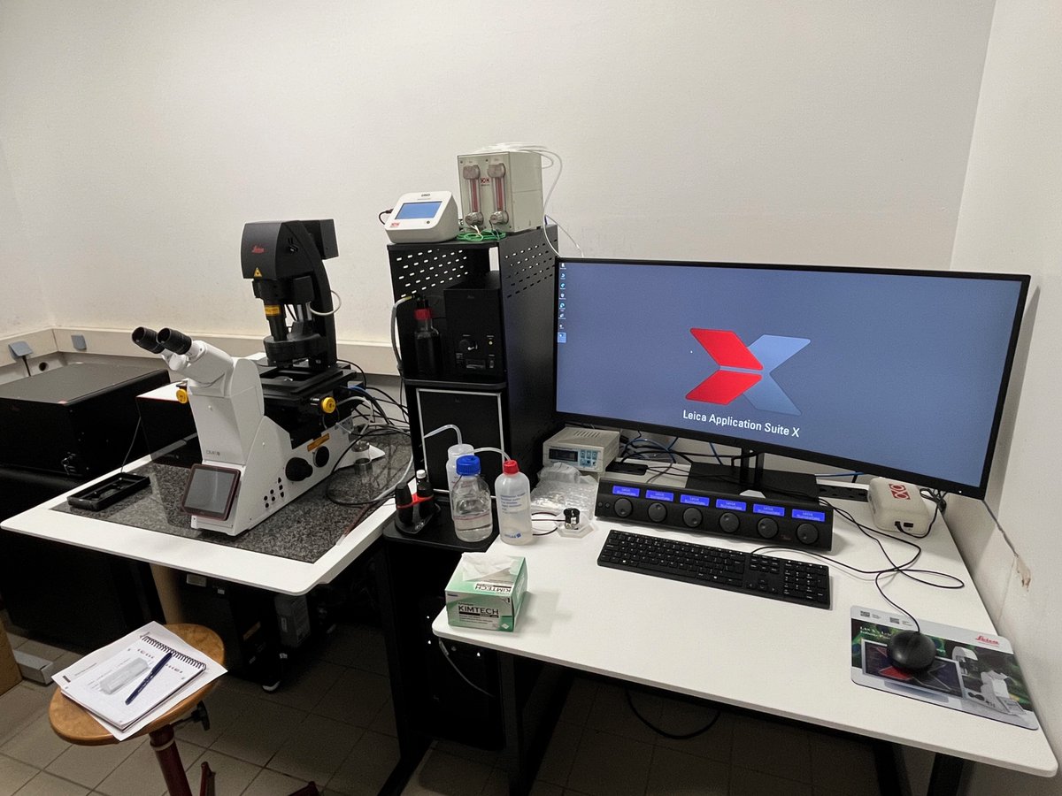 Anne-Laure Bulin tweet media