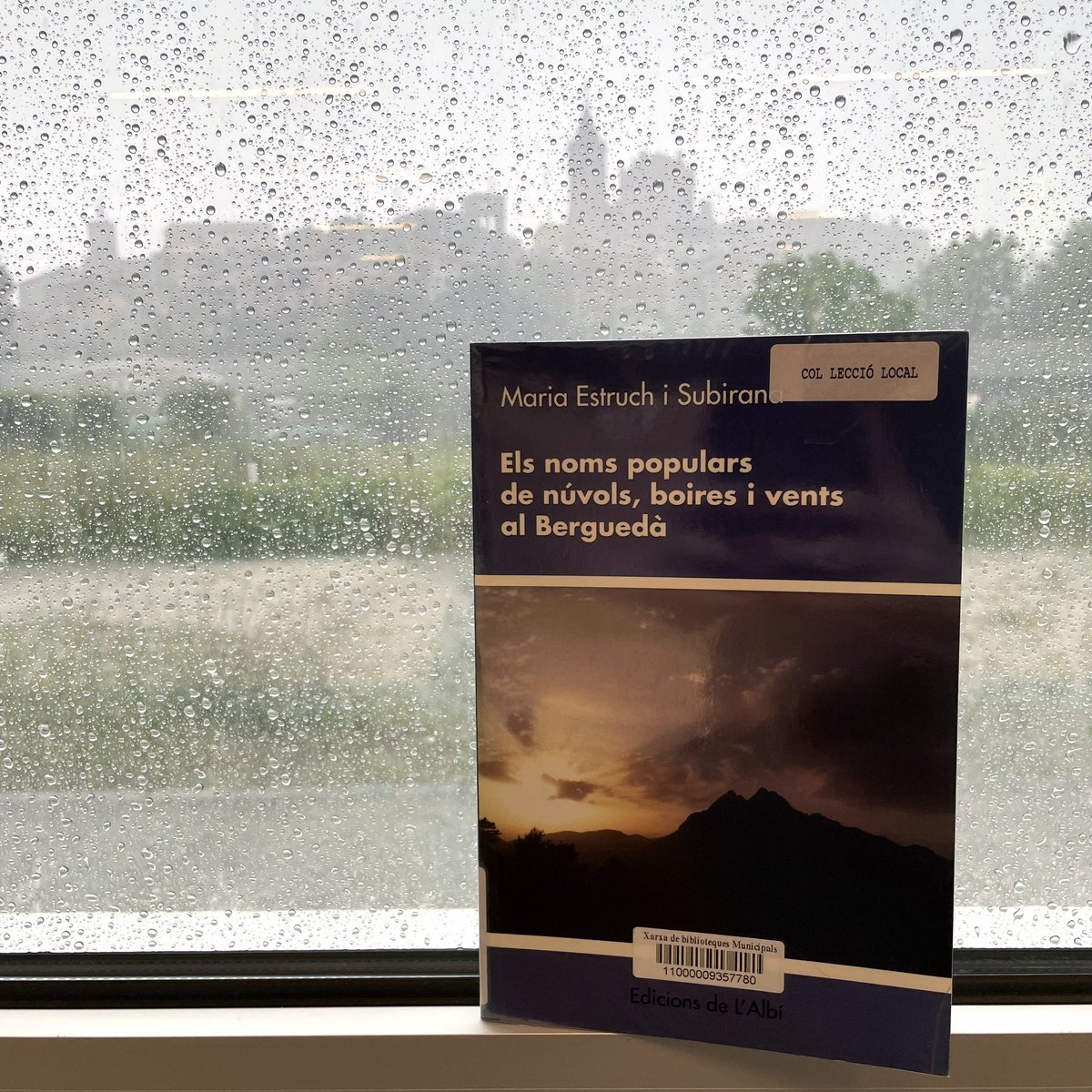bibgironella's tweet photo. ☔️ https://t.co/d75dw6VISC
