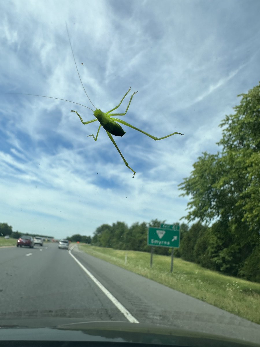 Jonathon Gregg tweet media