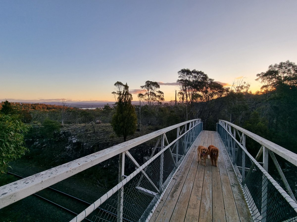 GillyTheGolden's tweet photo. So many walks today, even just after Sunset #goldenretriever https://t.co/a1MNkZxTJt