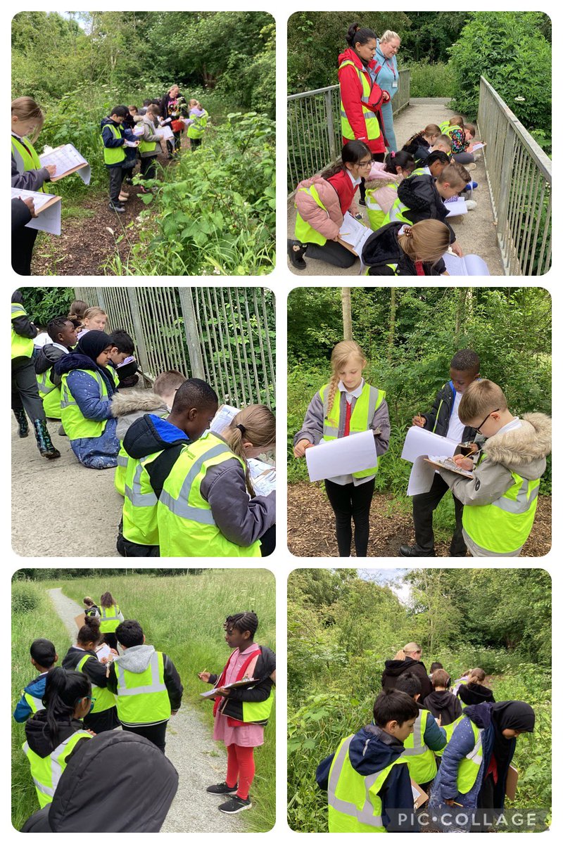 knightontmet's tweet photo. #Hughendenclass have had a fantastic afternoon at Wash Brook Nature Reserve, bug hunting, sketching and looking at habitats. #curiosity #KnMPAScience #KnmPAGeography https://t.co/nZ7LMRj34P