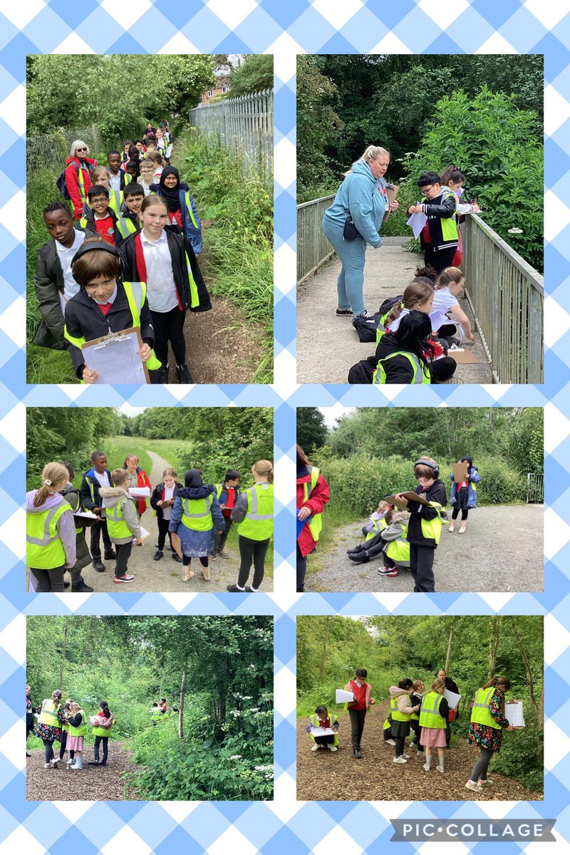 knightontmet's tweet photo. #Hughendenclass have had a fantastic afternoon at Wash Brook Nature Reserve, bug hunting, sketching and looking at habitats. #curiosity #KnMPAScience #KnmPAGeography https://t.co/nZ7LMRj34P