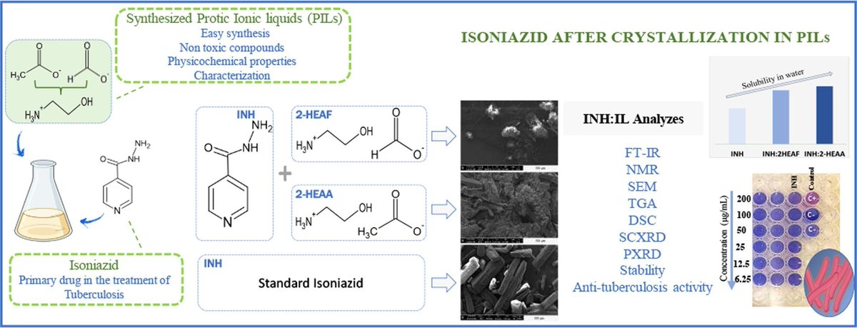 Green protic ionic liquids enhance isoniazid's #solubility, stability, and antimycobacterial activity, improving its therapeutic efficiency against #tuberculosis.
➡️Free access until 27 July
#Research #PharmaTwitter #MedTwitter authors.elsevier.com/a/1jDmF3Lfa-QP…