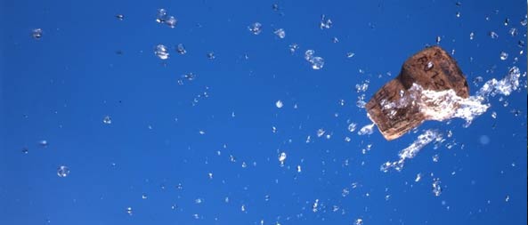 Geslaagd? Gefeliciteerd! Champagne! Of een andere (ook alcoholvrije) bubbel van wijnkado. 

tinyurl.com/Bubbels-op-Wij…