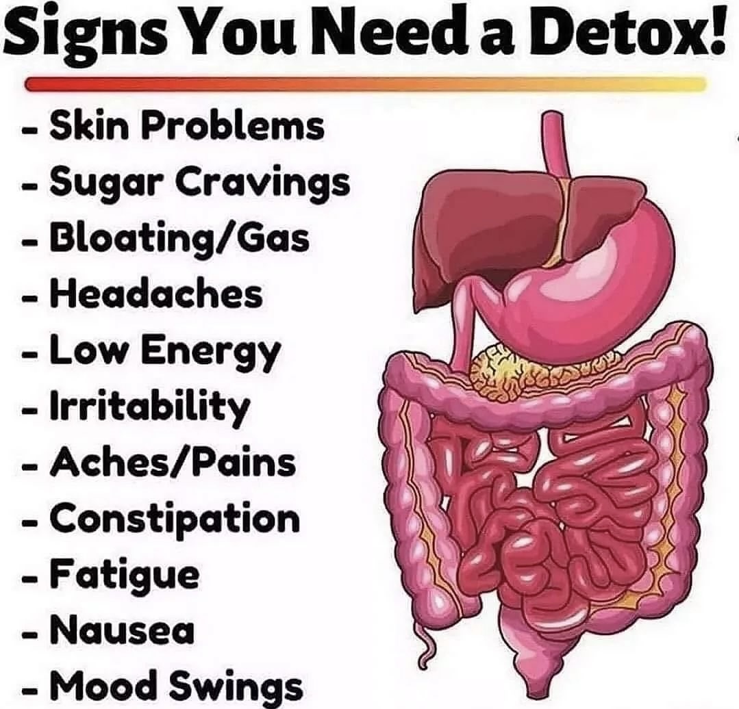 Greek_Wisdom's tweet photo. Detox your BODY, Detox your LIFE! 🌿

Revitalize your body with these 7 simple detox tips! https://t.co/Nt9T76OfVF