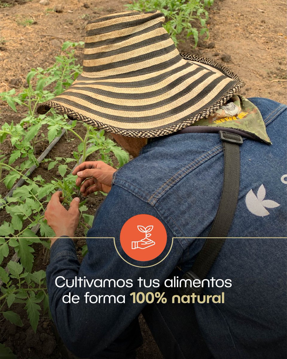 SiembraCo tweet media