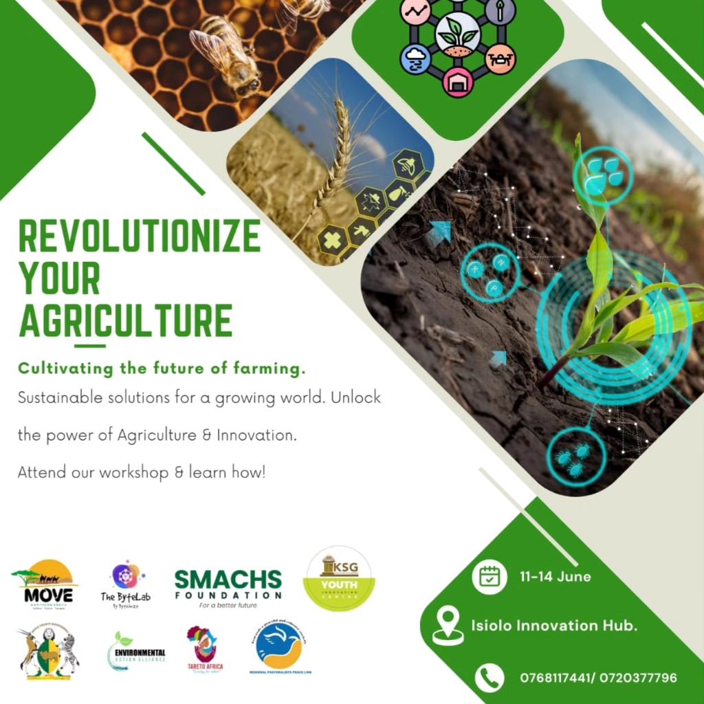 MoveNorthern Kenya tweet media