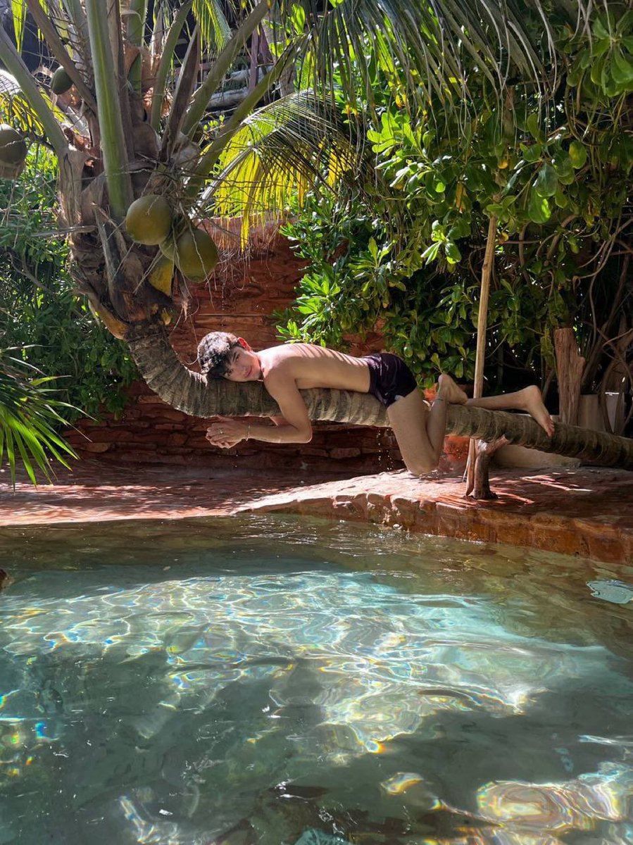 sexy stephen tweet media