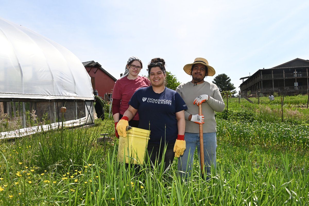 Dominican University tweet media