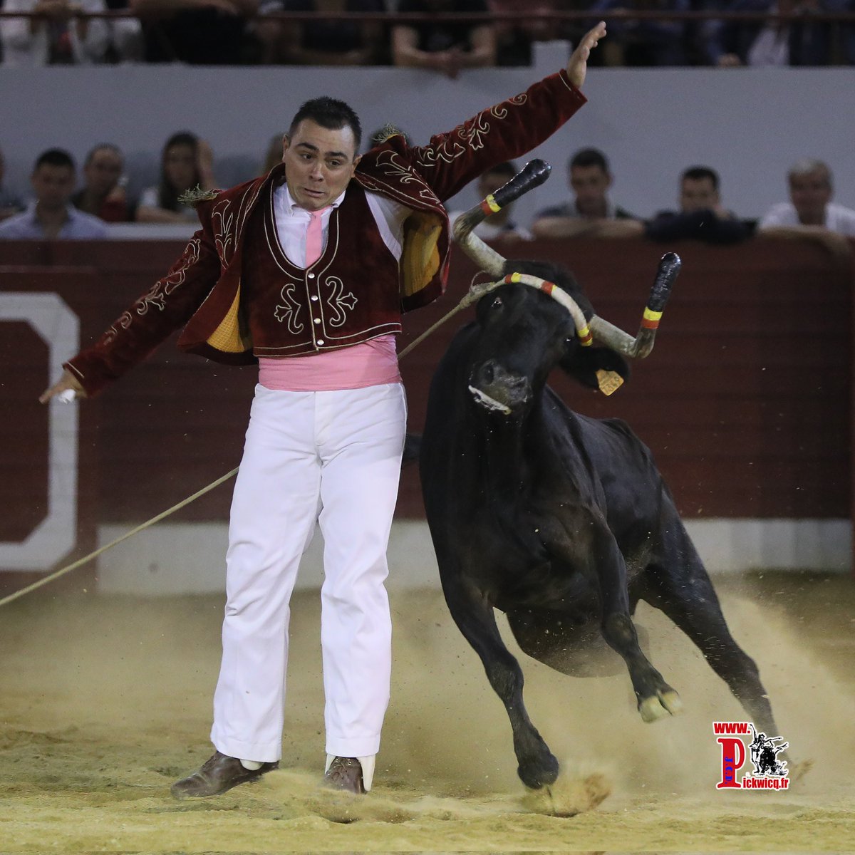 Concours Landais à Aire Sur Adour, lundi 17 juin 2024 à 21h,L'affiche du Concours (Trophée Christophe Dussau):
pickwicq.fr/concours-landa…
 Photo d'un écart de Bastien Lalanne Champion du concours d'Aire 2022 Le programme des fêtes d'Aire Sur Adour:
pickwicq.fr/aire-sur-adour…