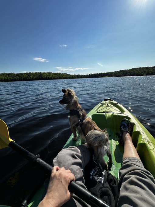 2 pic. Only ones on the lake this morning ? https://t.co/bjUr9qYdD4