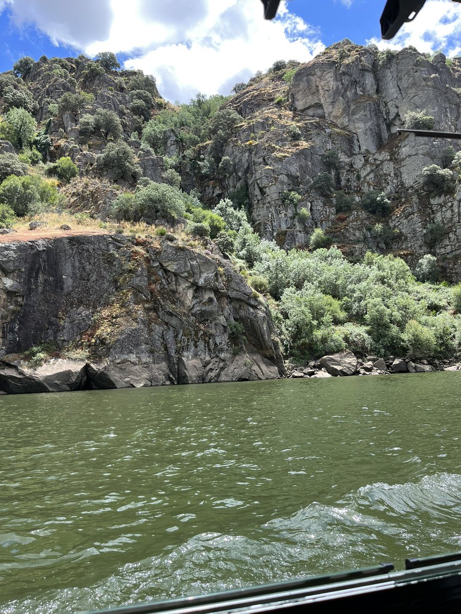 Kings Lander Primary Academy tweet media