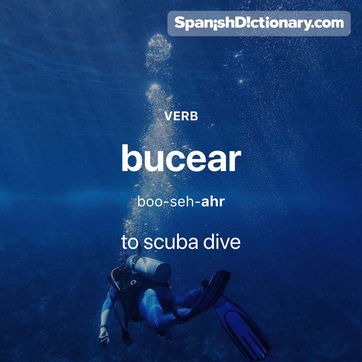 SpanishDict's tweet photo. Today's #WordOfTheDay is "bucear." 🤿 For example: A Fer le gusta bucear cerca del arrecife.  - Fer likes to scuba dive near the reef.
.
.
.
#EstudiaEspañol #StudySpanish #AprendeEspañol #LearnSpanish #Español #Spanish #LearningSpanish #PalabraDelDia #bucear #scubadive https://t.co/jM8F0O6W0Y