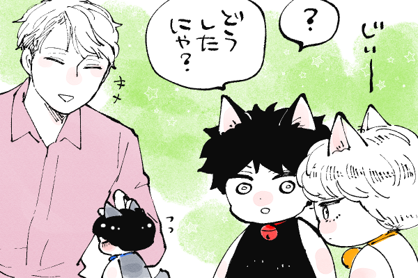 🐱キラキラにゃんこ生活
普段見ることのないあずまこCPのやり取りが気になる👀 
