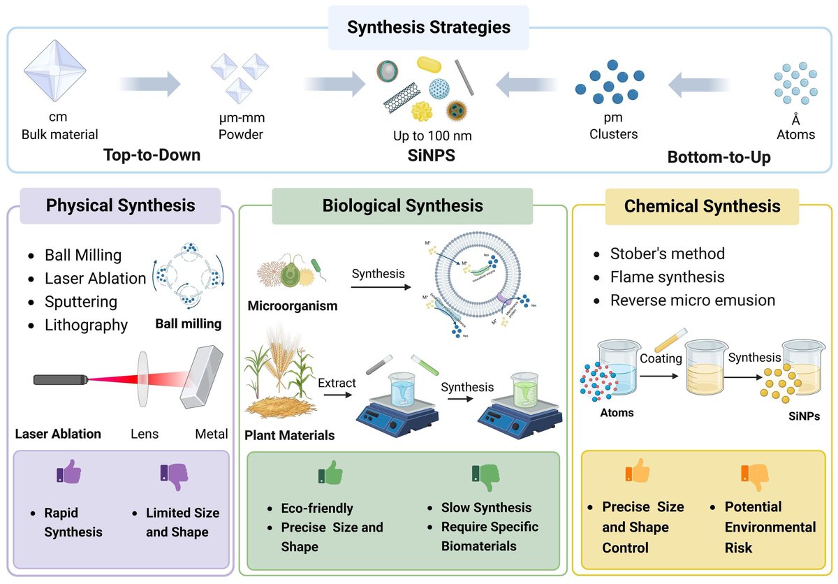 sci_plant's tweet photo. Silicon nanoparticles in sustainable agriculture: synthesis, absorption, and plant stress alleviation 

https://t.co/y3be4tCZPA 
#plantscience ♻️ https://t.co/8pXyndvs5H
