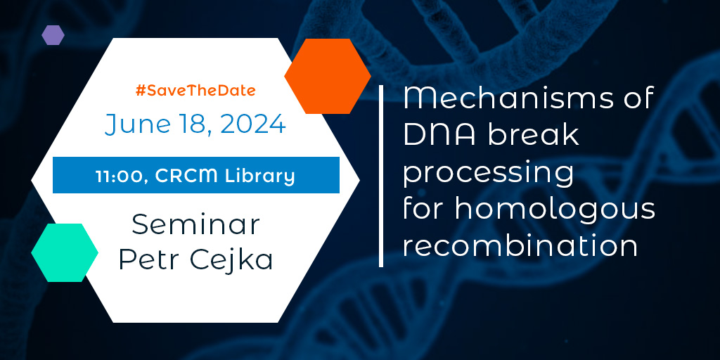 CRCM - Cancer Research Centre of Marseille (@crcm_marseille) on Twitter photo Seminar alert: join us tomorrow for Petr Cejka's talk on "Mechanisms of DNA break processing for homologous recombination" 🧬 <a href="/CejkaLab/">Cejka Lab</a>
📅 Date: June 18, 2024
⏰ Time: 11 am (CRCM Library)
🔗 Zoom link: univ-amu-fr.zoom.us/j/85891474326?…
#BiomedicalScience  #ResearchSeminar #Biomedicine Seminar alert: join us tomorrow for Petr Cejka's talk on "Mechanisms of DNA break processing for homologous recombination" 🧬 <a href="/CejkaLab/">Cejka Lab</a>
📅 Date: June 18, 2024
⏰ Time: 11 am (CRCM Library)
🔗 Zoom link: univ-amu-fr.zoom.us/j/85891474326?…
#BiomedicalScience  #ResearchSeminar #Biomedicine