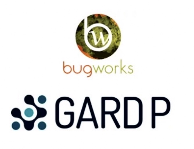 Contagion_Live's tweet image. .@gardp_amr and #Bugworks collaborate on #BWC0977, effective against a wide range of bacteria commonly causing severe infections acquired in hospitals. #AntimicrobialResistance contagionlive.com/view/new-colla…