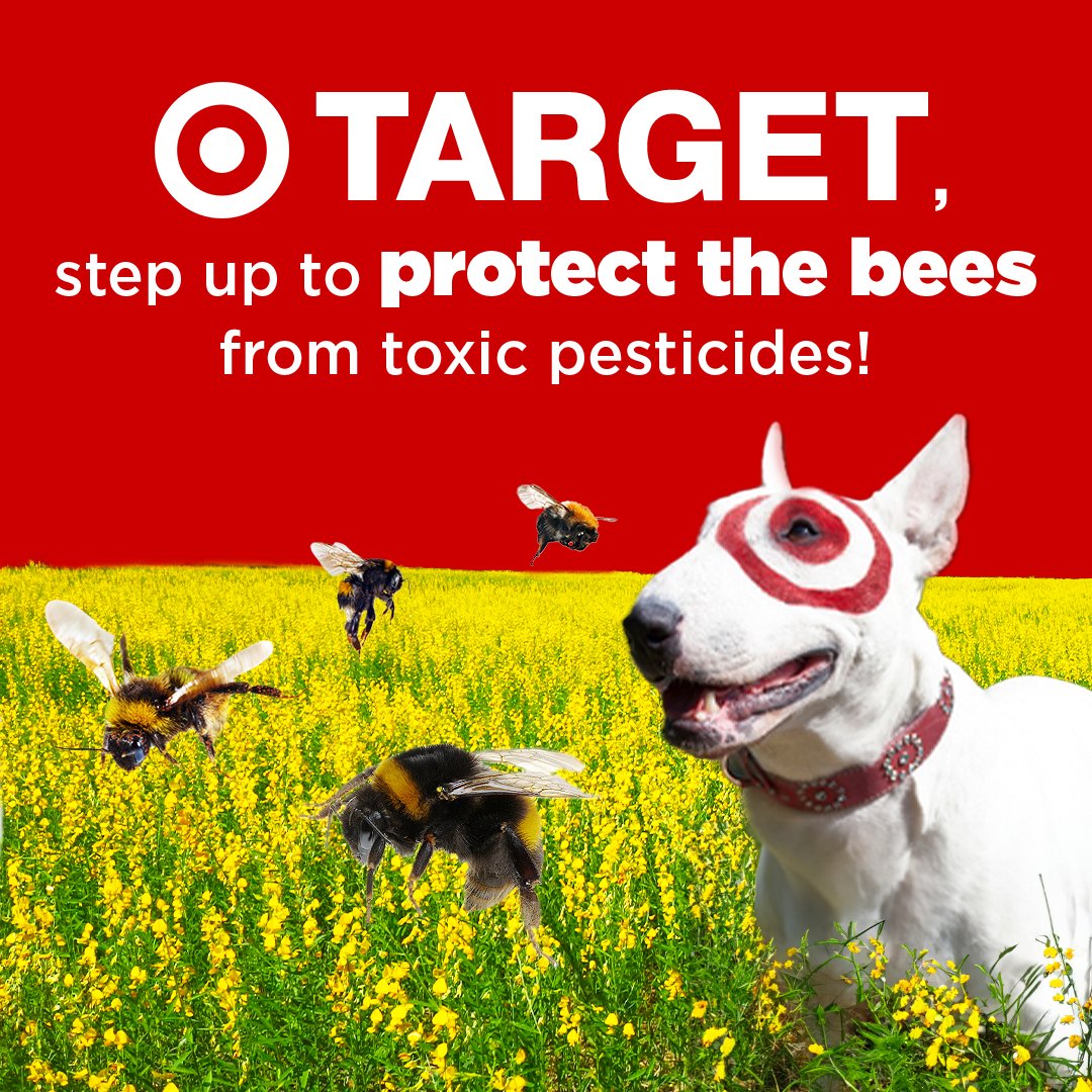Customers don’t want toxic pesticides, and neither do pollinators 🐝

<a href="/Target/">Target</a> be a leader and use your purchasing power to change our food system by phasing out toxic pesticides from your supply chain!