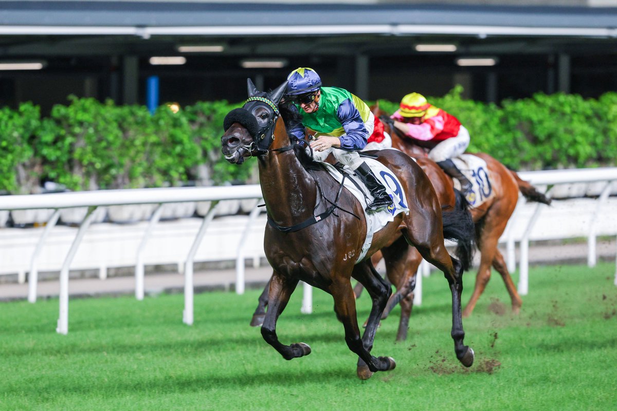Catch me if you can! 🐎💨

Youthful Spirits crushes the opposition for a first win in Hong Kong under <a href="/zpurton/">Zac Purton</a>...

#HappyWednesday | #HKracing