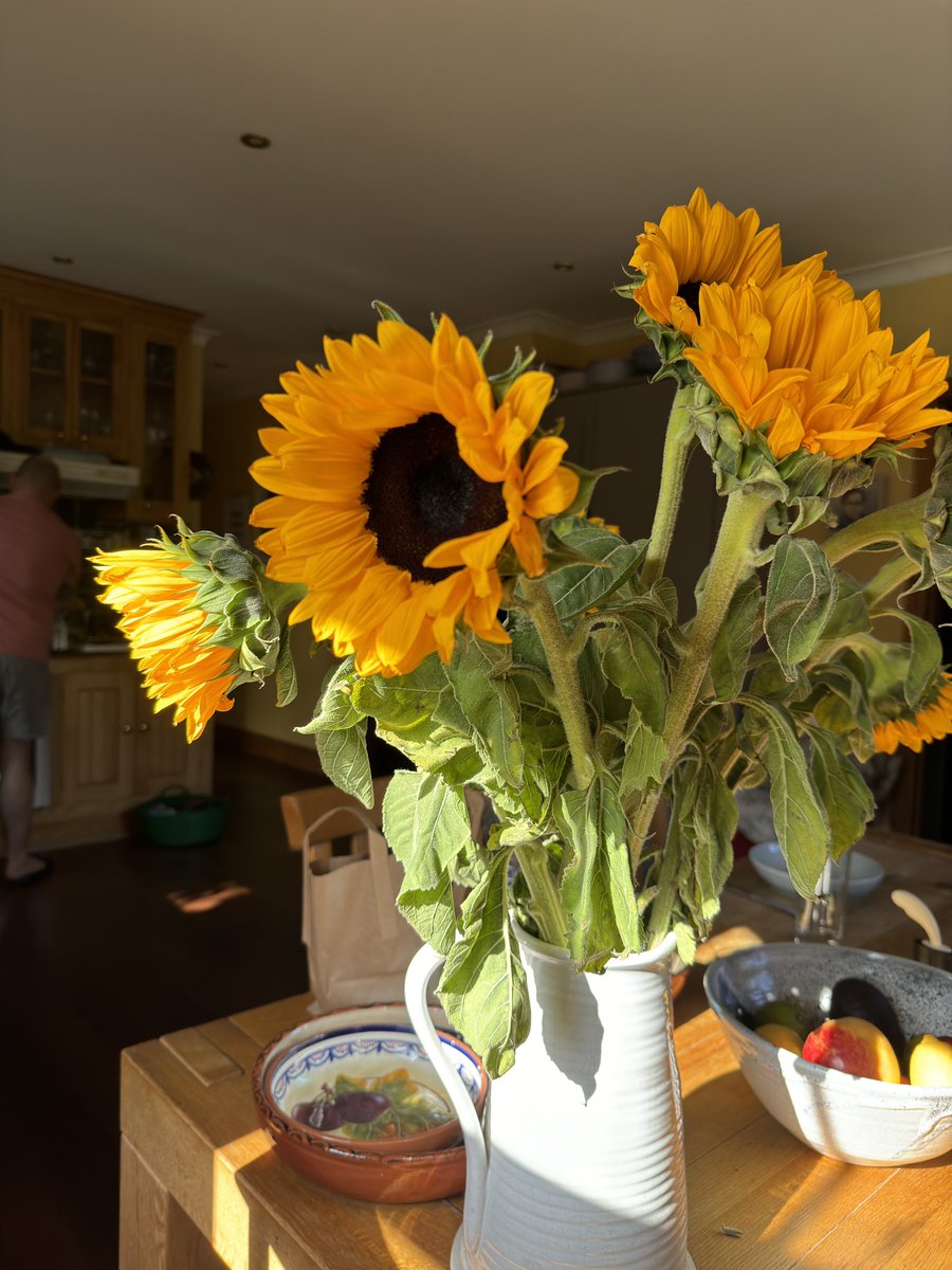 Kaveoghan's tweet photo. 🌻🤗 https://t.co/M9Ky6WjREw