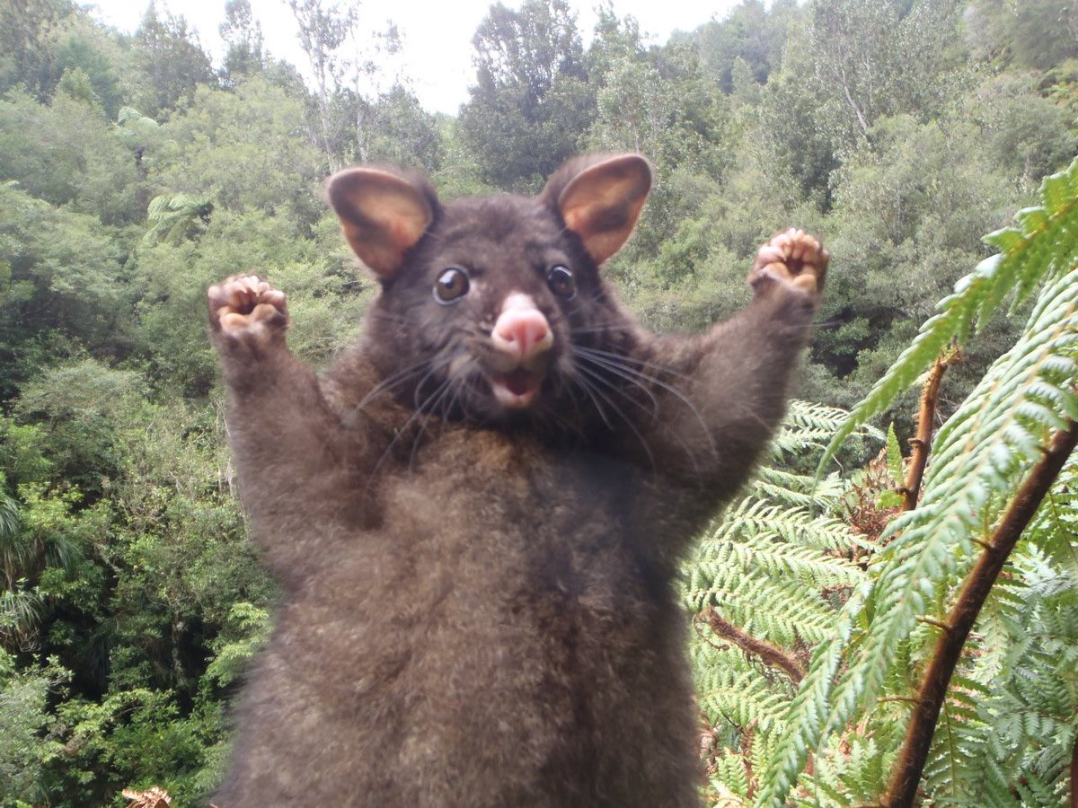 <a href="/woolimusic/">🦣 WOOLI 🦣</a> Me today