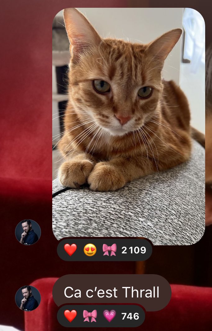 FeliciaCottet's tweet image. POV : les députés Sébastien Delogu et David Guiraud sont tous les deux gagas des chats 🐱😻

#Teamchat 🐱 ou #Teamchien 🐶 ?