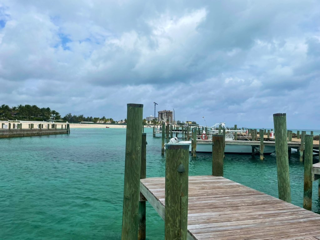 Lerato Mbele tweet media