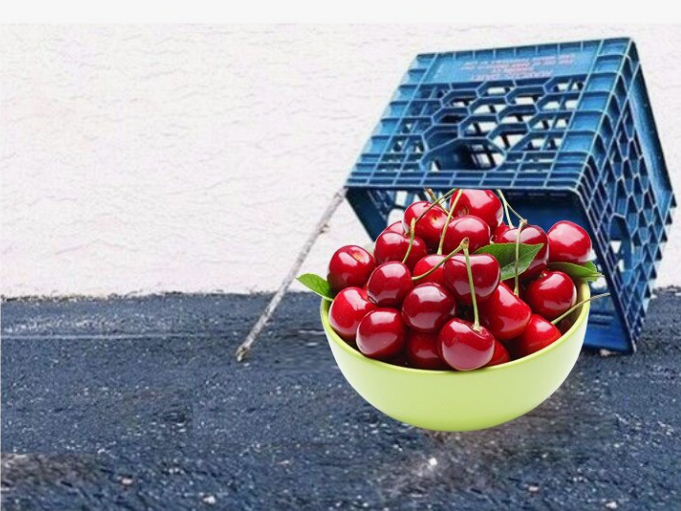 FitzyCap's tweet photo. Easiest way to catch Blast mfer 😏

$cherry @CherryOnBlast https://t.co/2gkkIr1u45