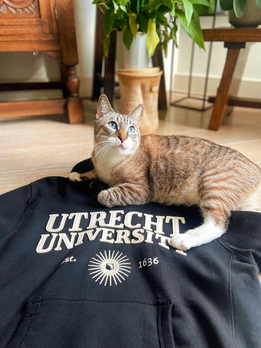 Utrippin_'s tweet photo. The lovely cat of Utrecht University #UtrechtUniversity #DiscoverUtrecht https://t.co/0y5SssKmQr