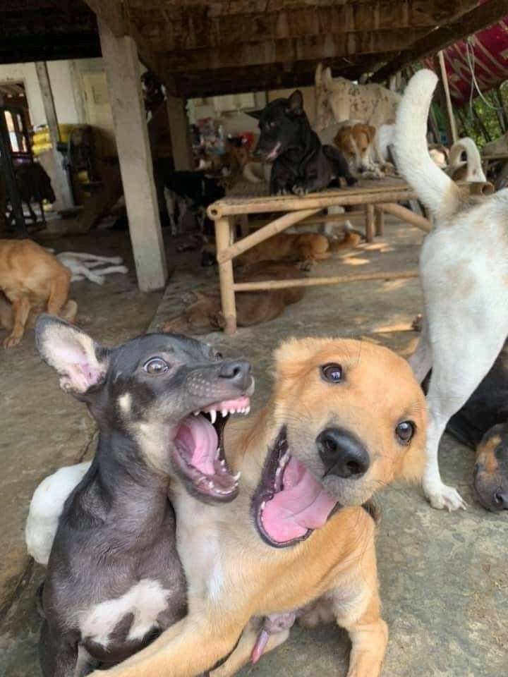 scenes (@andscenestoo) on Twitter photo 