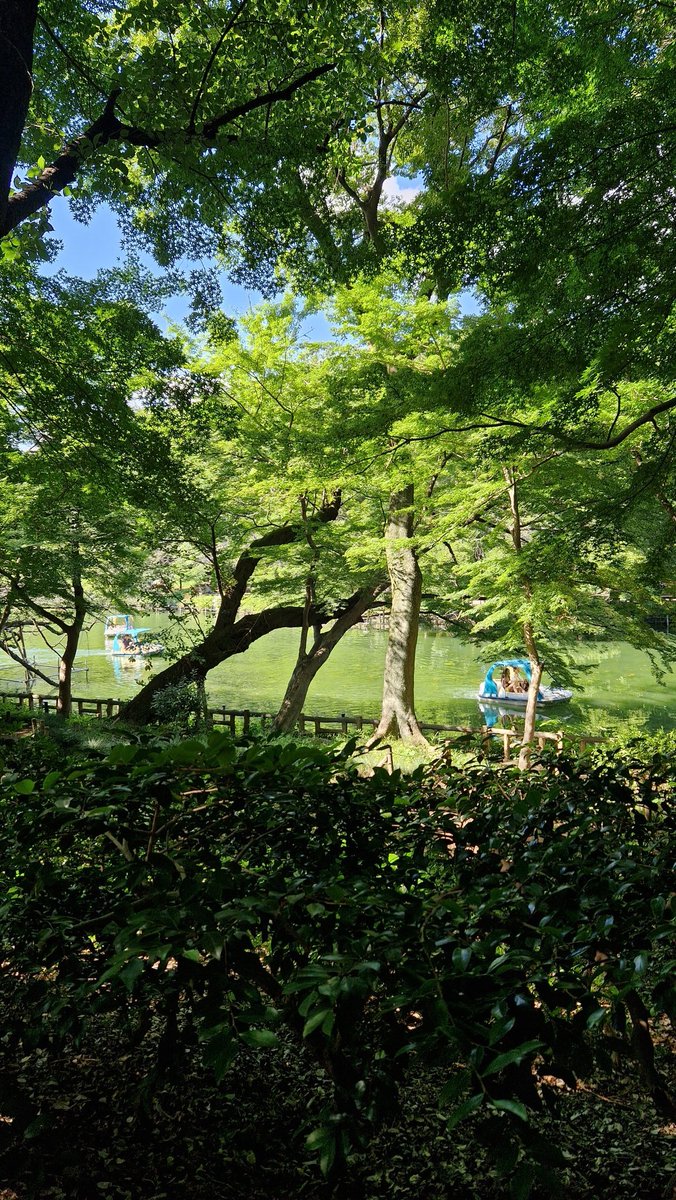 SURPRISEDUET's tweet photo. ㅤ
ㅤ https://t.co/2eMzX6yMJU ㅤPersona 5 Inokashira Park except I didn't play Persona 5.
ㅤ https://t.co/glSLs9m4dG