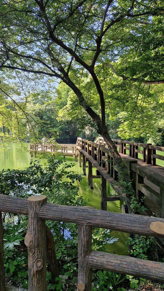 SURPRISEDUET's tweet photo. ㅤ
ㅤ https://t.co/2eMzX6yMJU ㅤPersona 5 Inokashira Park except I didn't play Persona 5.
ㅤ https://t.co/glSLs9m4dG