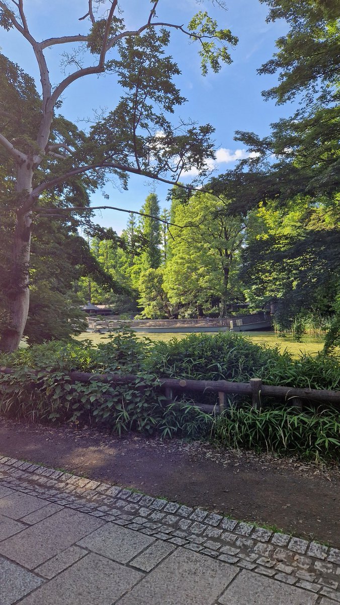 SURPRISEDUET's tweet photo. ㅤ
ㅤ https://t.co/2eMzX6yMJU ㅤPersona 5 Inokashira Park except I didn't play Persona 5.
ㅤ https://t.co/glSLs9m4dG