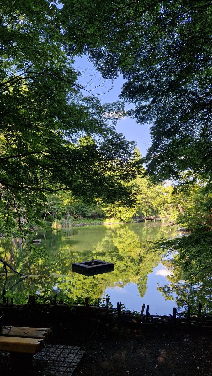 ㅤ
ㅤ 𓂃⠀🪷、seri⠀.⠀ ㅤPersona 5 Inokashira Park except I didn't play Persona 5.
ㅤ